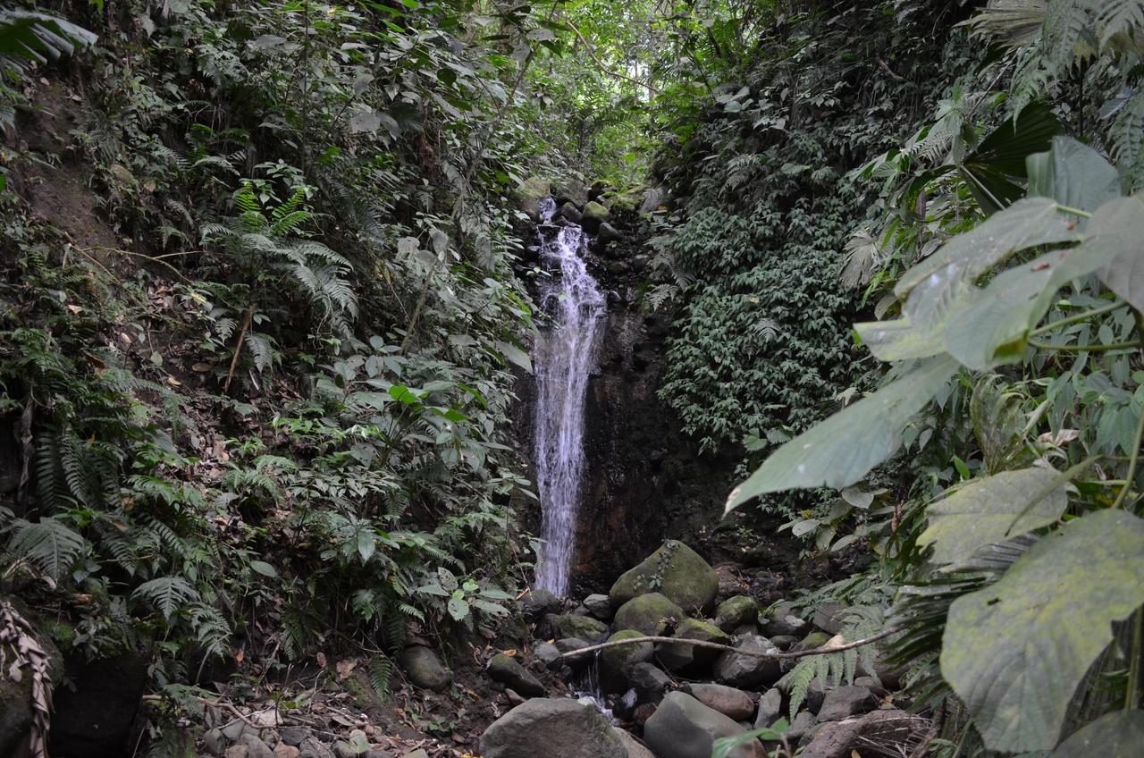Lodge Lumbres Arenal *